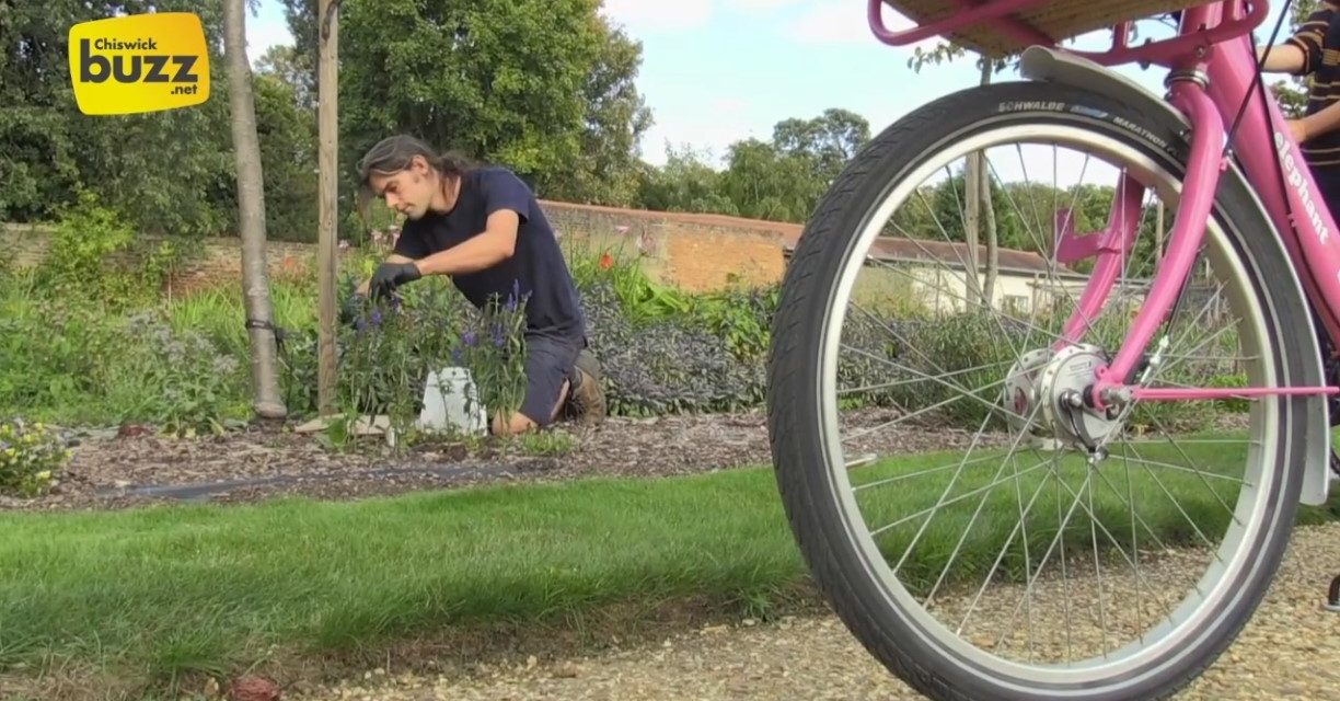 Autumn Advice From Chiswick House Gardeners’ Question Time